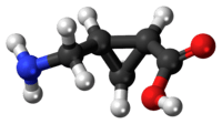 (+)-CAMP molecule