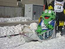 A dog sledge, driven by Benedikt Beisch, with Freedom Frog