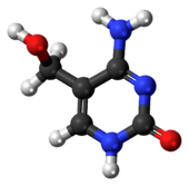 Ball-and-stick model of the 5-hydroxymethylcytosine molecule