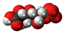 Space-filling model of the 6-phosphogluconic acid anion