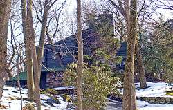 A green wooden house with stone chimney and foundation walls, seen through trees on a sunny winter day.