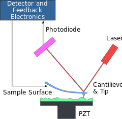 A Atomic Force Microscope