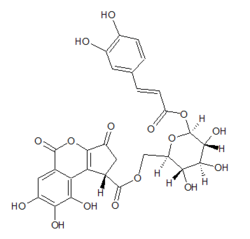 Chemical structure of balanophotannin D