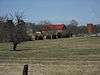 Barnes Apple Barn