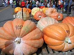 BarnesvillePumpkins.jpg