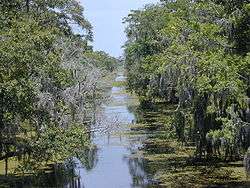 Daylight photo of canal with many tree branches stretching from the banks out over the canal.