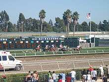 Bay Meadows 6th Race, August 16, 2008