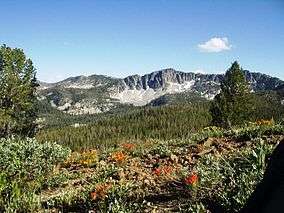 A photo of mountains and Indian paintbrush in Boise National Forest