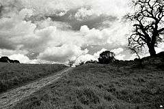 Briones Park 38.JPG