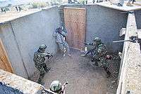 NOVO SELO TRAINING AREA, Bulgaria – Bulgarian Land Forces of the 61st Mechanized Brigade from Karlovo raid a building in search of high-value targets during a multinational training exercise here, Sept. 17. The land forces trained with the U.S. Army 2nd Squadron, 2nd Stryker Cavalry Regiment, as part of Task Force-East exercises. TF-E offers participants opportunities to train in a multinational environment.