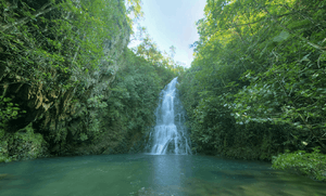 Waterfall spills over into a forested river