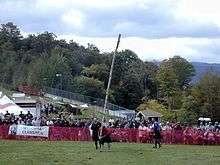 New Hampshire Highland Games