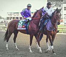 Two horses with riders walking on a racetrack, one leading the other