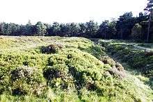 Photograph showing ditch or rampart in surviving section of Cawthorn Roman Camps