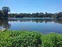 Thick bright green bushes grow on the near shore of a small, clear lake; trees stand on the far shore.