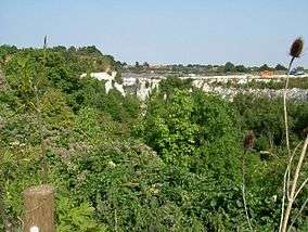 Chafford Gorges