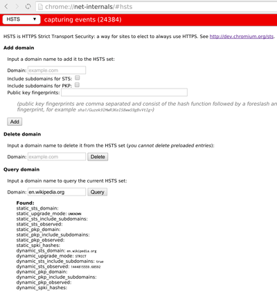 Settings page for HTTPS Strict Transport Security within Chromium 45, showing the status of the security policy for the domain "en.wikipedia.org".