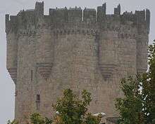 Coria castle.  Basically a large square keep, but with several smaller round towers jutting out on all side.