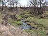 Cottonwood Creek Archeological Site