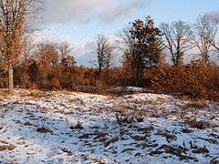 Cranberry Creek Archeological District