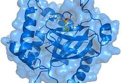 Protease-Inhibitor Complex.