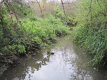 Deans Brook in Stoneyfields Park