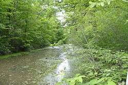 Miami and Erie Canal Deep Cut