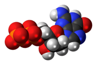 Space-filling model of the deoxyguanosine diphosphate anion