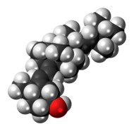 Space-filling model of the dihydrotachysterol molecule