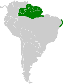 Map of South America with northern Brazil, French Guiana, Guyana, Suriname, southern Venezuela, and the eastern tip of Brazil highlighted in green