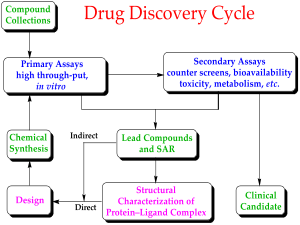 Drug discovery cycle schematic