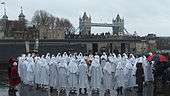 Druids at Tower Hill