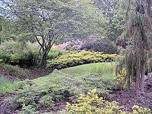 Drum Manor Forest Park gardens in the summer: grass, trees and flowering bushes in view