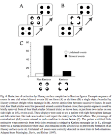 grouping effect on extinction.