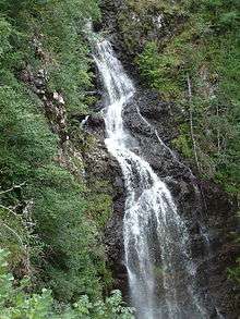 White foamy water coming out of a rocky steep incline nestled in verdant forest