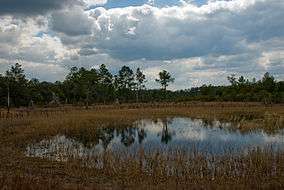 A pond in Farles Prairie.