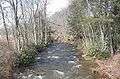 A stream with several patches of whitewater in a wooded area. Most of the trees are bare, but there are some evergreens.