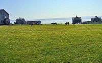 Deer grazing on grass in front of historic buildings