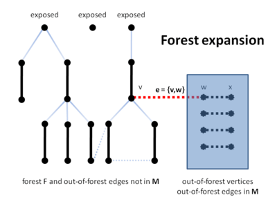 Forest expansion on line B10