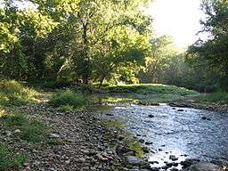 Two streams with rock strewn banks meet in a wooded area