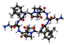 Ball-and-stick model of the Gramicidin S molecule