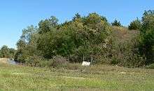 Hill covered with shrubs and trees, rising from flat land with canal at base