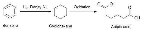 Chemical reaction. Benzene converts to cyclohexane under the action of hydrogen and Raney nickel. Cyclohexane then oxidizes to adipic acid.