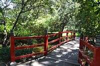 Japanese Garden in Micke Grove Regional Park 6.jpg