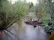 A stream about 15 feet (4.5 meters) wide flows through a wooded area.