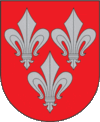 A coat of arms depicting three grey fleurs-de-lis, two directly across from each other at the top and one on the bottom, all on a red background