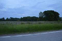 Kamp Mound Site