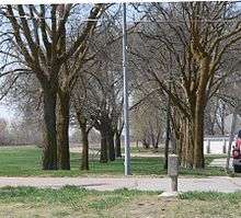 Concrete marker with inscribed arrow pointing toward avenue of hackberry trees