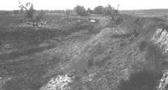 Lower Cimarron Spring