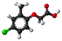 Ball-and-stick model of the MCPA molecule